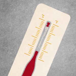 Chapter II – A Question of Temperature