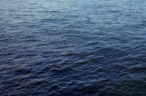Alfred Dunhill Portraits of Achievement – Man At Sea