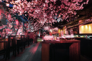 The Art of Hanami by Suntory Whisky