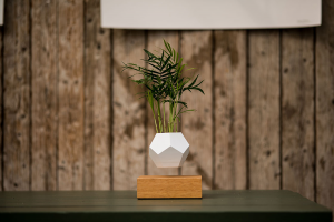 LYFE: Growing plants at Zero-Gravity
