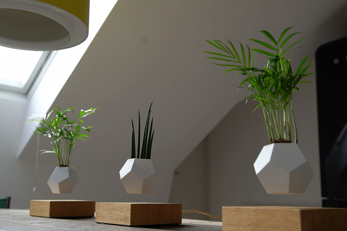 LYFE Growing plants at ZeroGravity JOSHUA's