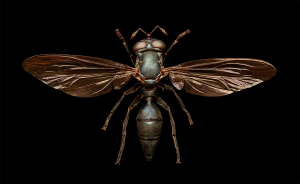 MICROSCULPTURE