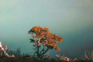 Fragrance Guide — Autumn Winter 2019