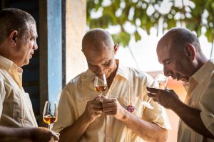 Tributo 2020 by Havana Club