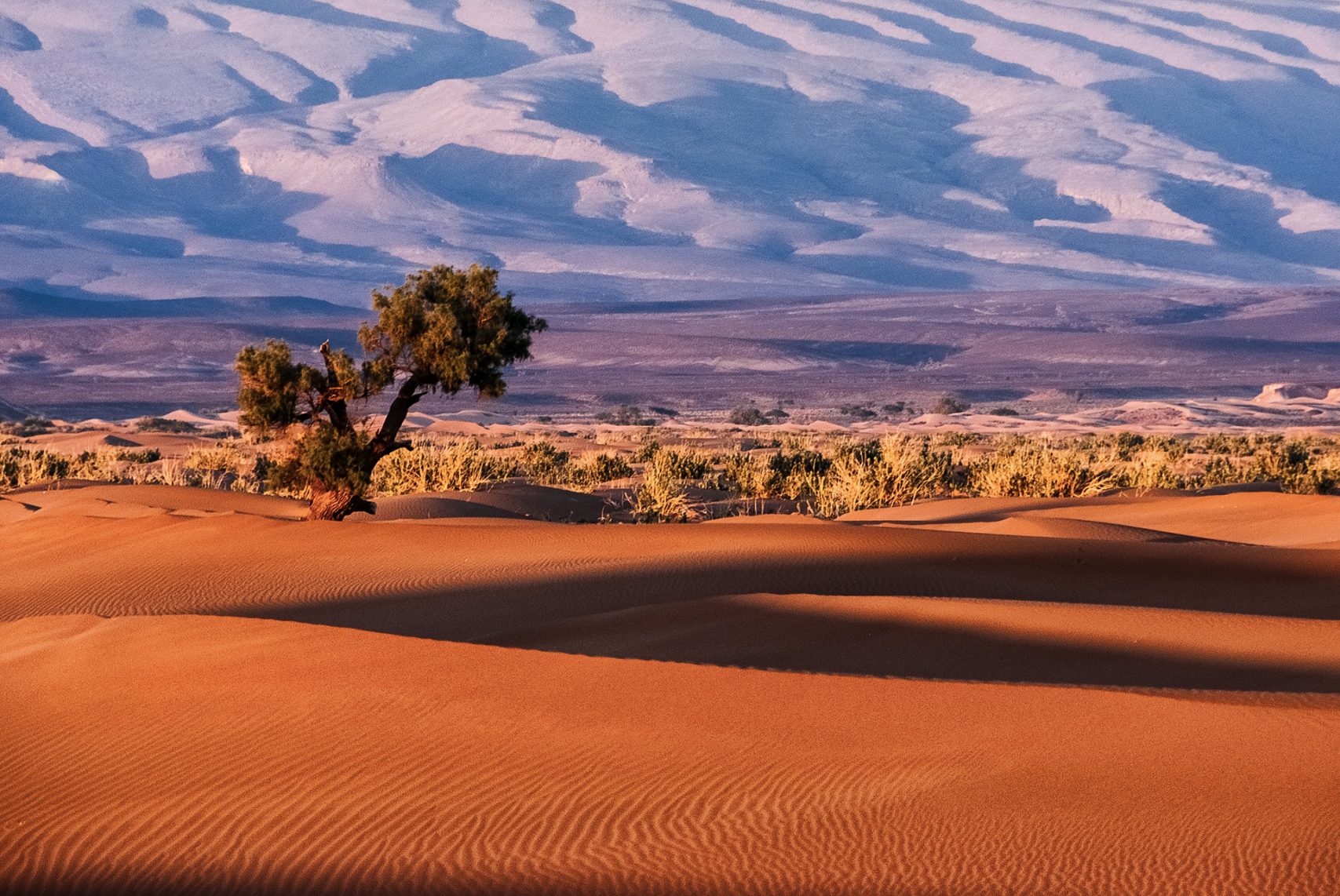 Fragrance Guide — Summer 2020 Fragrance Guide — Summer 2020