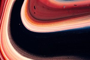 Fragrance Guide — Spring ’21