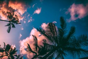 Fragrance Guide — Summer ’21