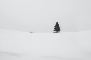 Drinks of Note — Christmas ’23