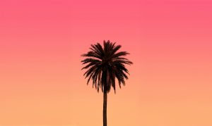 Drinks of Note — Spring ’24