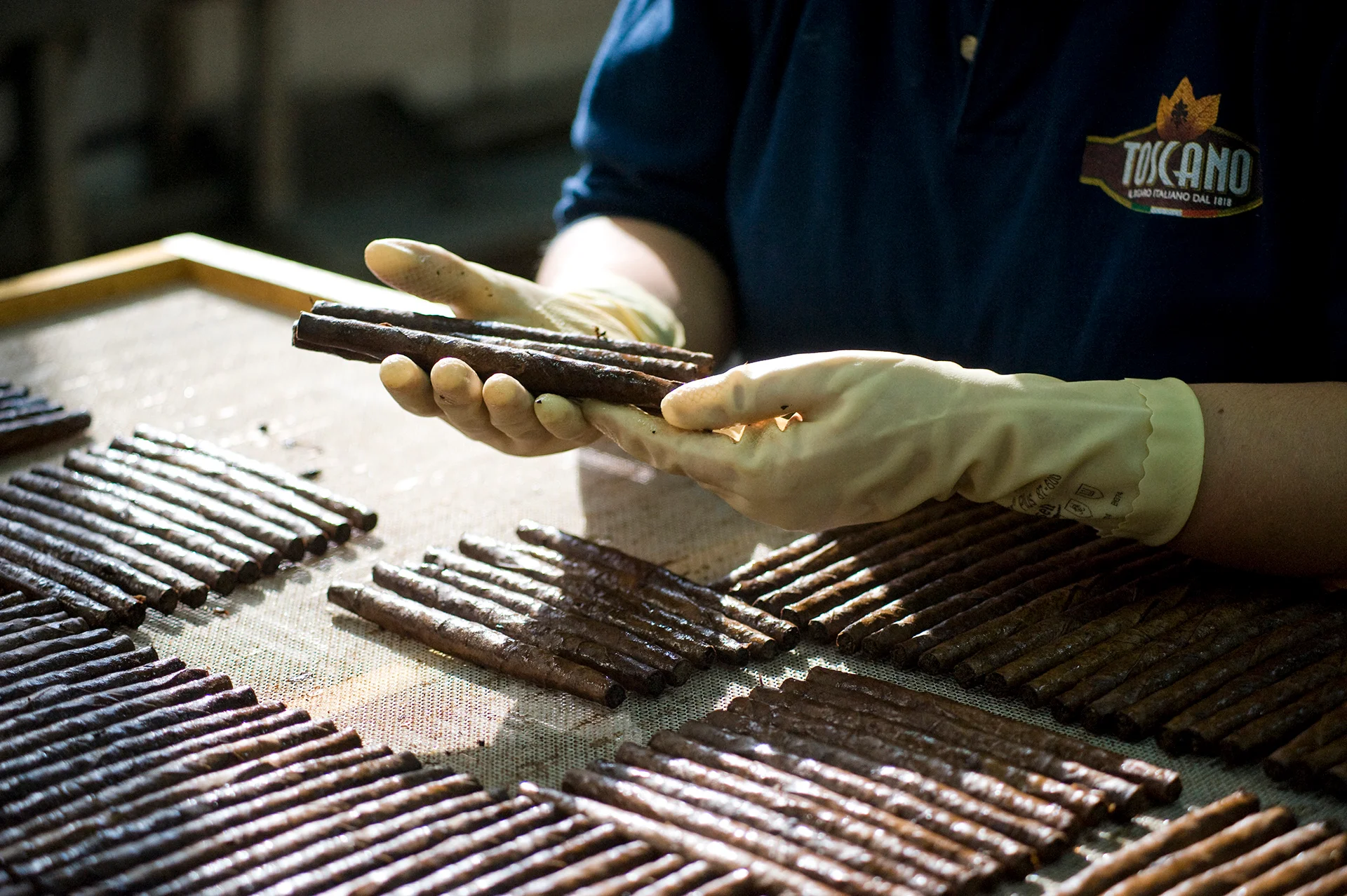 Toscano Cigar Rolling