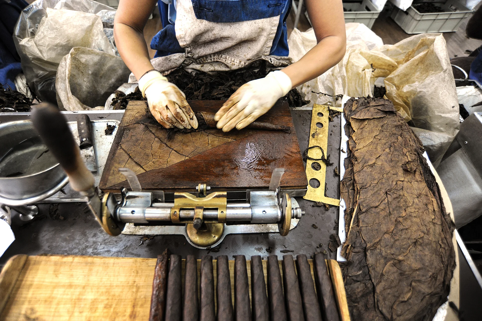 Toscano Cigar Rolling